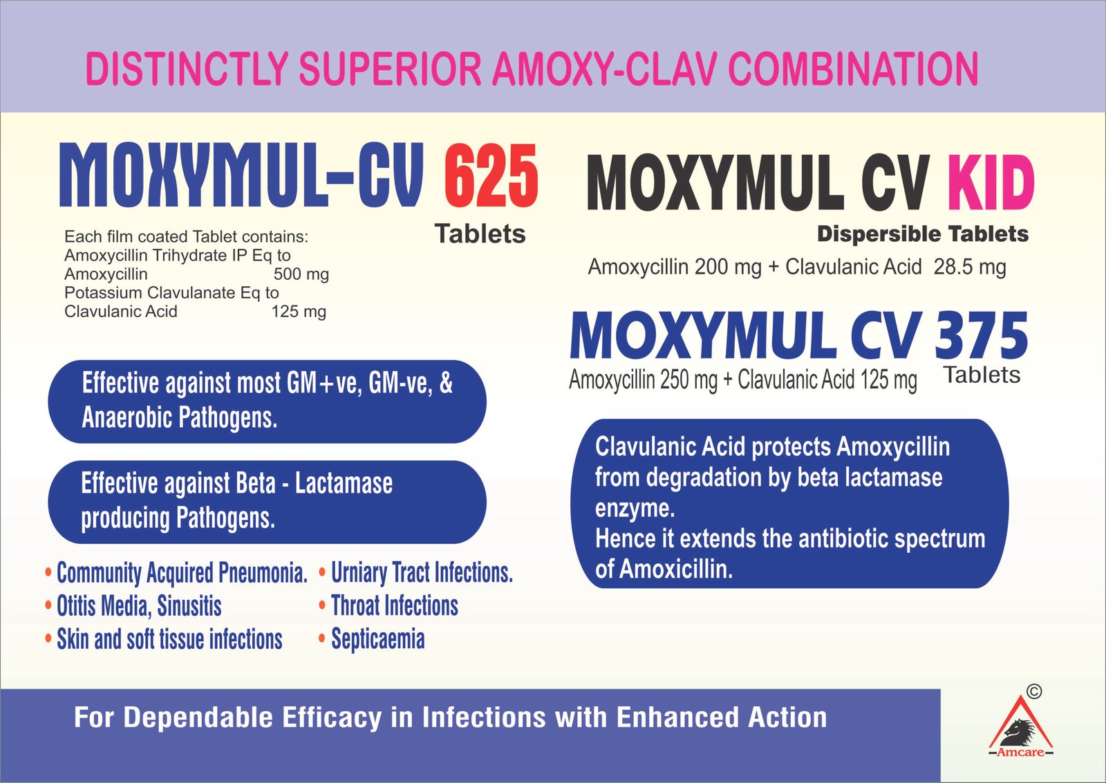 Moxymul-CV 625 | Amoxicillin 500 mg + Clavulanic Acid 125 mg MOXYMUL CV 375 – Amoxicillin 250mg + Clavulanic Acid 125mg Moxymul CV Kid – Amoxicillin 200 mg + Clavulanic Acid 28.5 mg