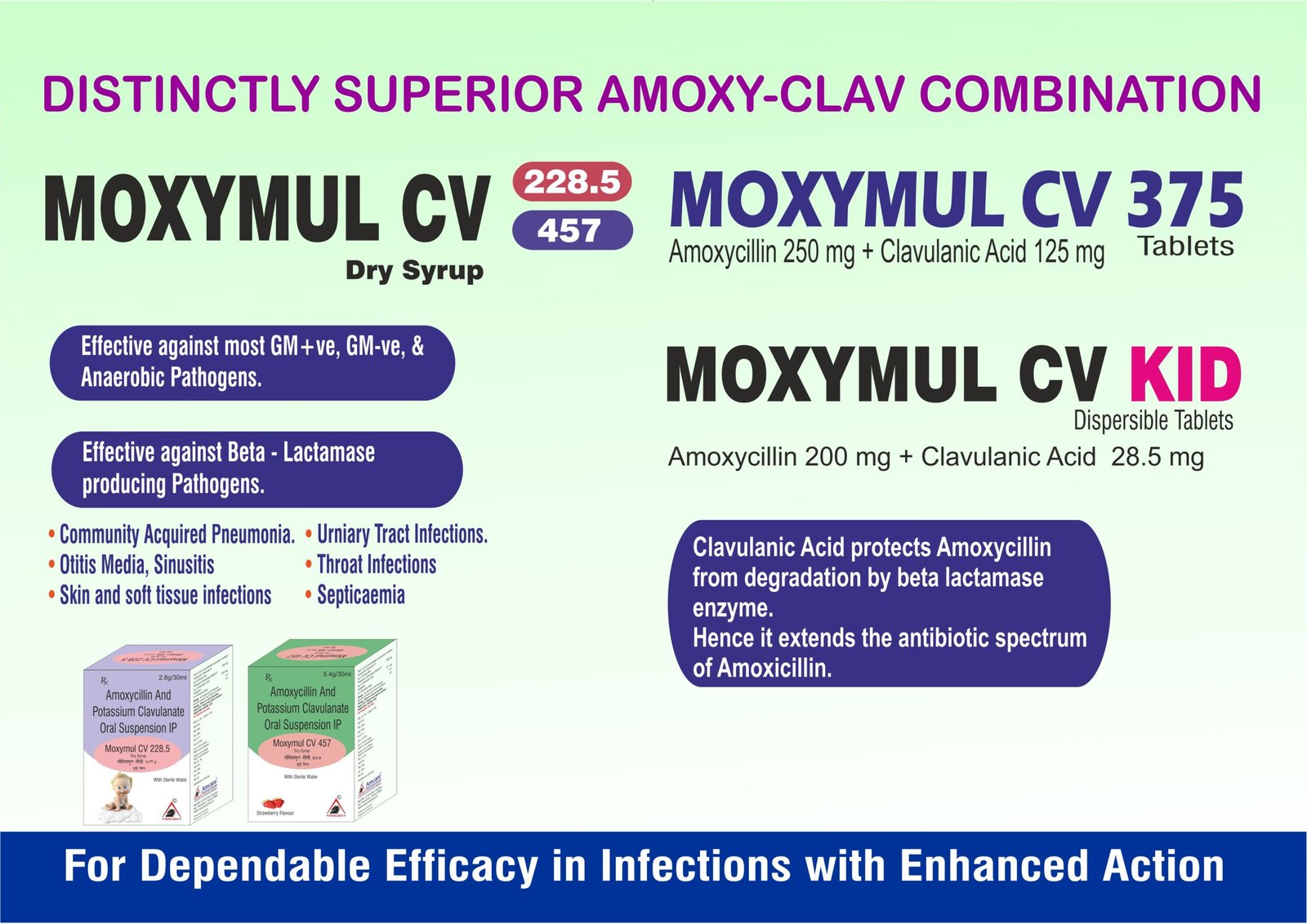 Moxymul CV 228.5 – Amoxicillin 200mg + Clavulanic Acid 28.5mg Moxymul CV 457 – Amoxicillin 400mg + Clavulanic Acid 57mg