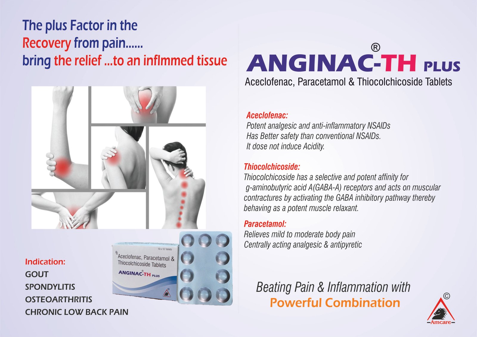 ANGINAC-TH PLUS | Aceclofenac + Paracetamol + Thiocol