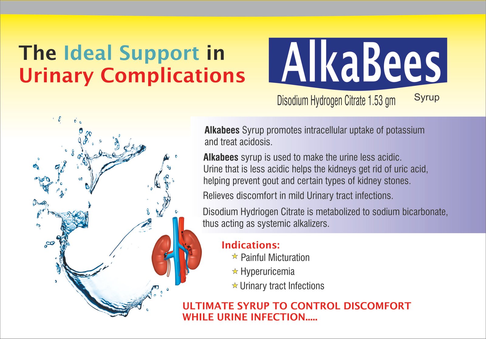 ALKABEES Syrup | Disodium Hydrogen Citrate 1.53 g/5 mL